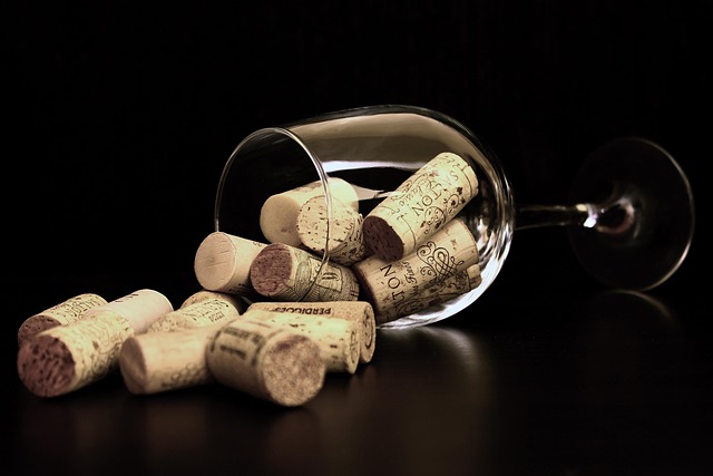 La mancha i hverdagen med vin, mad og oplevelser fra Spaniens store vinområde